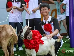 布莱梅稳坐领头羊,胜利之路任重道远的简单介绍 布莱梅稳坐领头羊,胜利之路任重道远的简单介绍