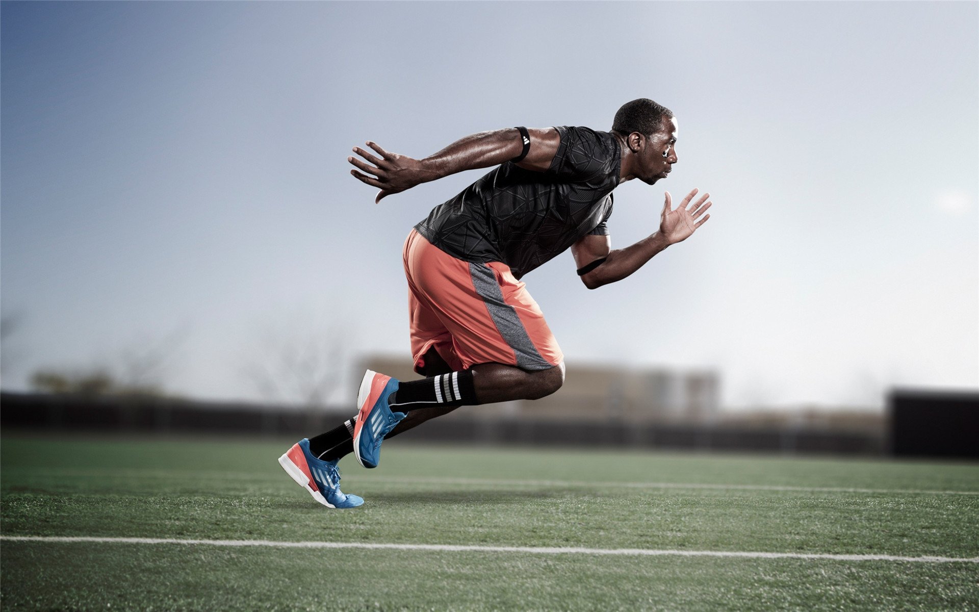 鏖战法兰西，王皓的暗棋，波兰的叹息